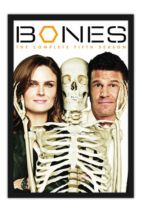 Poster Bones 1ª Temporada - Séries