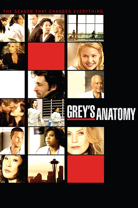 Poster Greys Anatomy 6ª Temporada - Séries