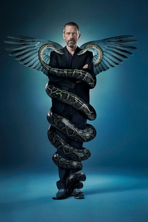 Poster House, M.D. 6ª Temporada - Séries