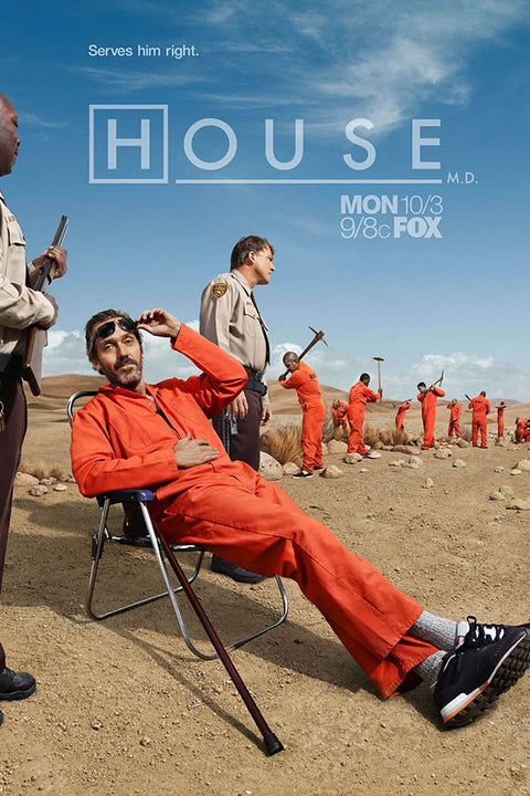 Poster House, M.D. 8ª Temporada - Séries