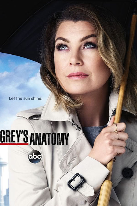 Poster Greys Anatomy - Séries