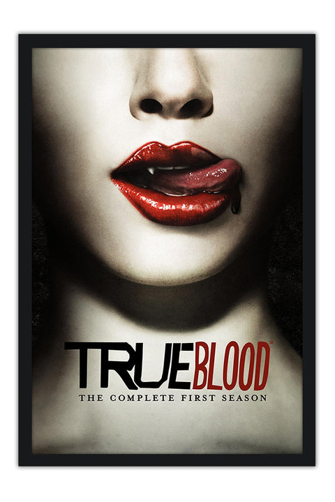 Poster True Blood 1ª Temporada - Séries