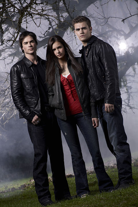 Poster Vampire Diaries 1ª Temporada - Séries