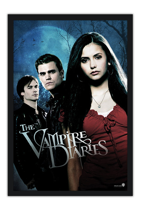 Poster Vampire Diaries 1ª Temporada - Séries