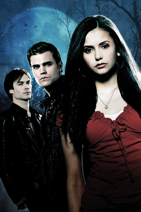 Poster Vampire Diaries 1ª Temporada - Séries