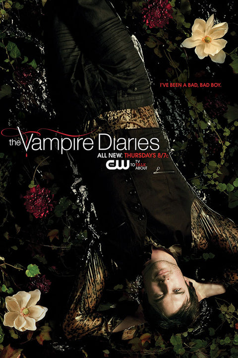 Poster Vampire Diaries 2ª Temporada - Séries