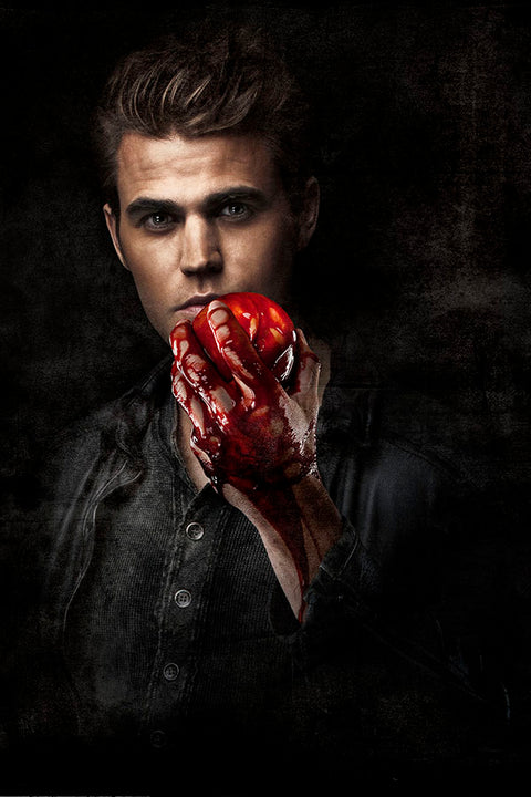 Poster Vampire Diaries 3ª Temporada - Séries