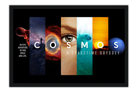 Poster Cosmos A Spacetime Odyssey - Filmes