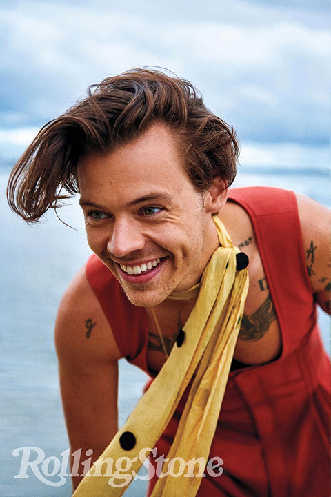 Poster Harry Styles - Artistas Pop
