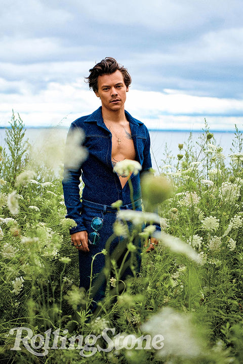 Poster Harry Styles - Artistas Pop