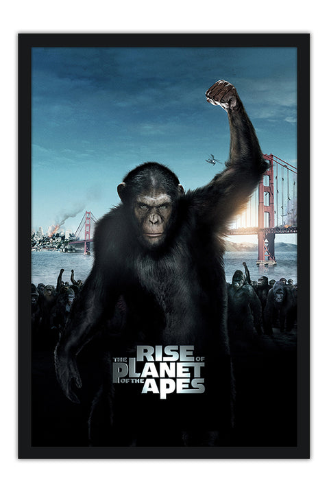 Poster Planeta dos Macacos - A Origem - Filmes