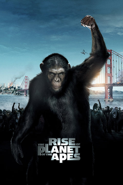 Poster Planeta dos Macacos - A Origem - Filmes