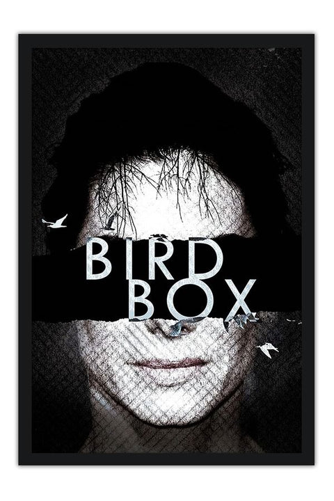 Poster Bird Box - Filmes