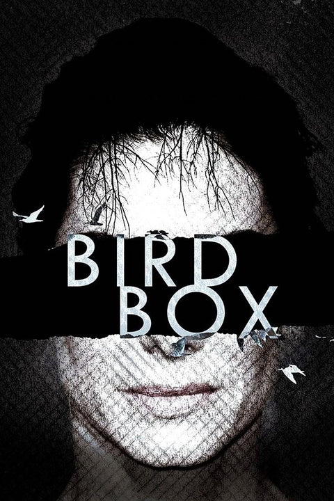 Poster Bird Box - Filmes