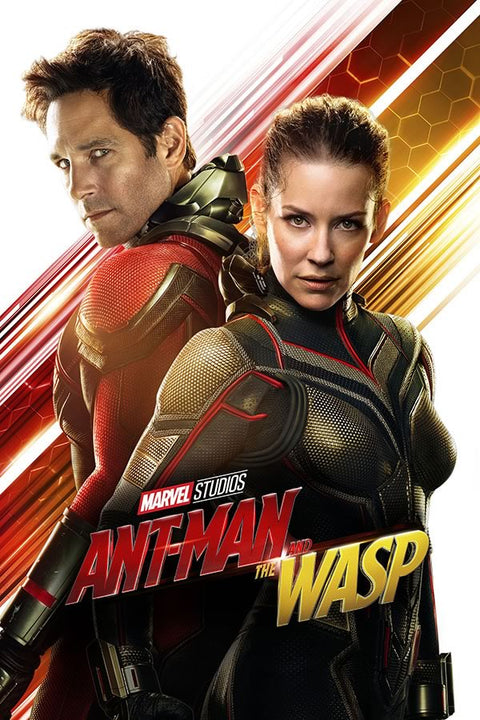 Poster Homem Formiga e a Vespa - Ant Man and the Wasp - Filmes