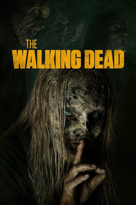 Poster The Walking Dead - TWD - Séries