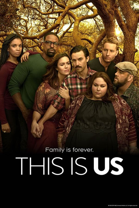 Poster This Is Us - Séries