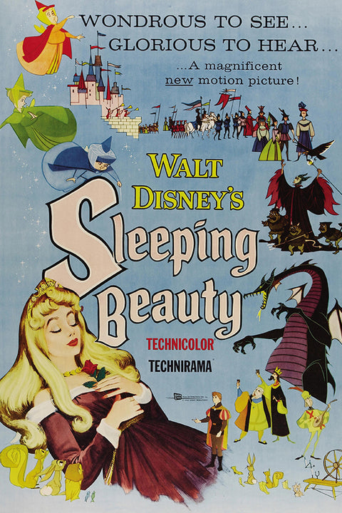 Poster A Bela Adormecida - Sleeping Beauty - Princesa - Filmes - Infantil