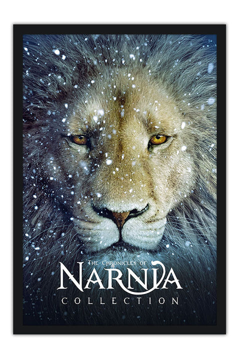 Poster Narnia - Filmes