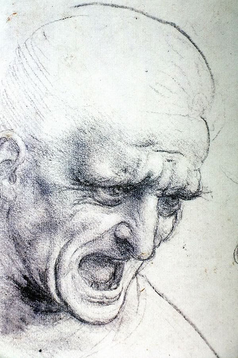 Poster Leonardo da Vinci - Obras de Arte
