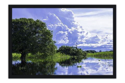 Poster Pantanal - Paisagens Nacionais - Fotografia - Lugares - Paisagens