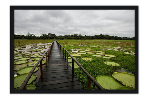 Poster Pantanal - Paisagens Nacionais - Fotografia - Lugares - Paisagens