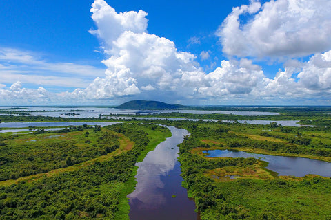 Poster Pantanal - Paisagens Nacionais - Fotografia - Lugares - Paisagens