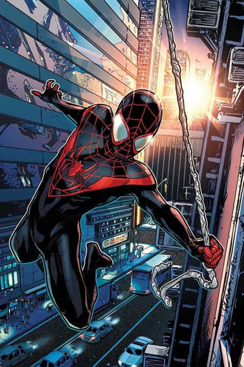 Poster Homem Aranha - Spider Man - Comics - Quadrinhos - Hq