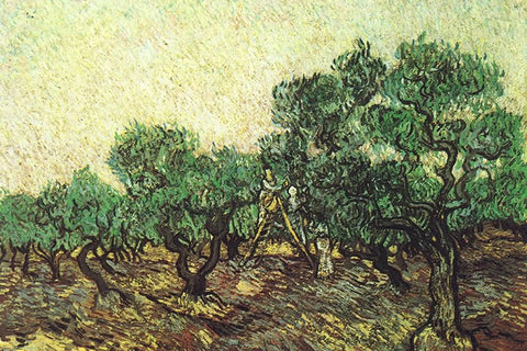 Poster Van Gogh - Obras de Arte
