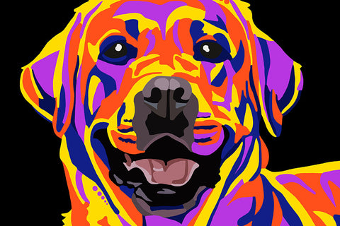 Poster Cachorro - Coleção Colors - Animais