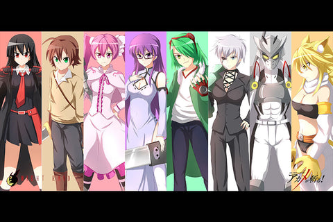 Poster Akame Ga Kill - Animes