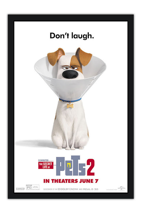 Poster Pets - Vida Secreta Dos Bichos - Filmes - Infantis