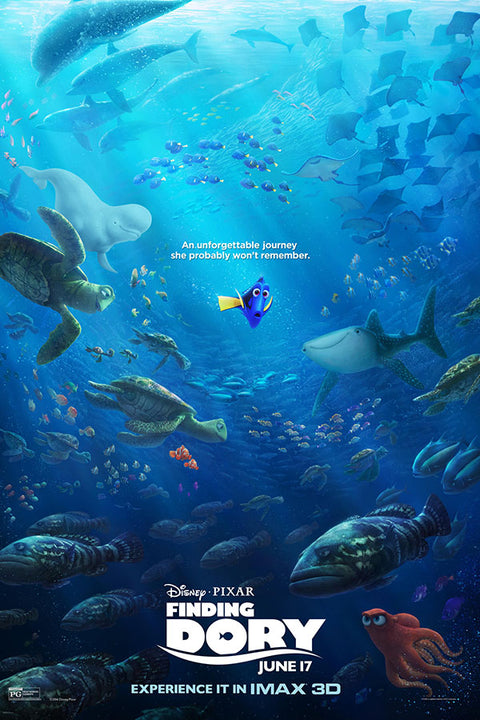 Poster Procurando Dory - Filmes - Infantis
