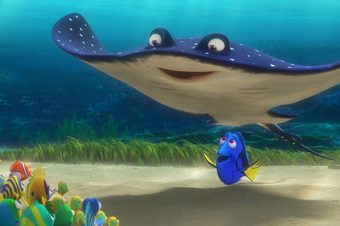Poster Procurando Dory - Filmes - Infantis