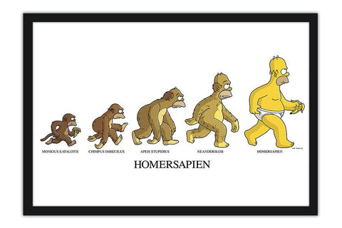 Poster Simpsons Homersapiens - Séries