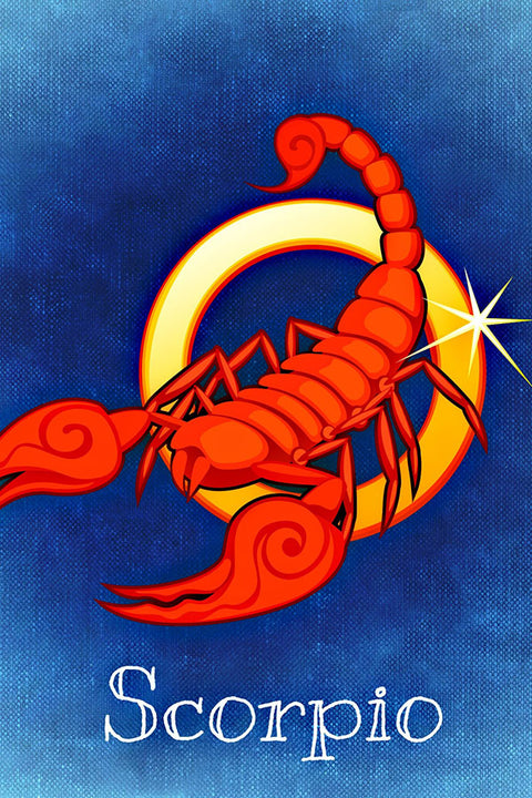 Poster Escorpião - Zodíaco - Signos