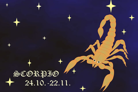 Poster Escorpião - Zodíaco - Signos