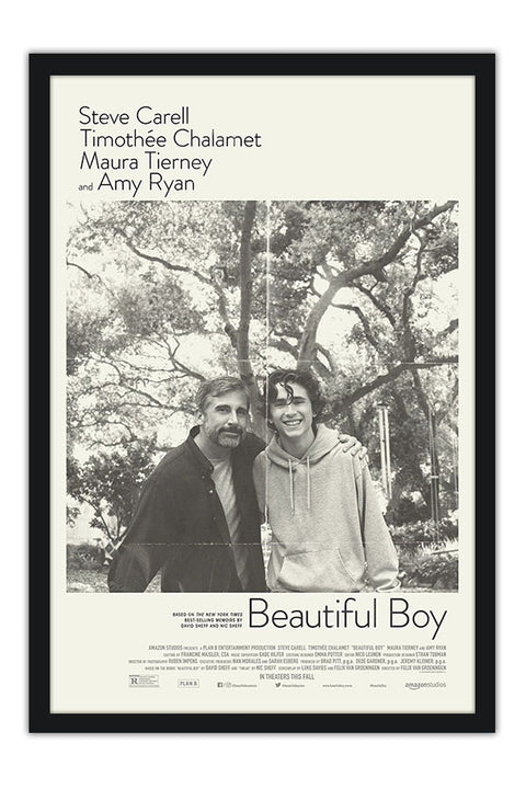 Poster Beautiful Boy - Querido Menino - Timothee Chalamet - Steve Carell - Filmes