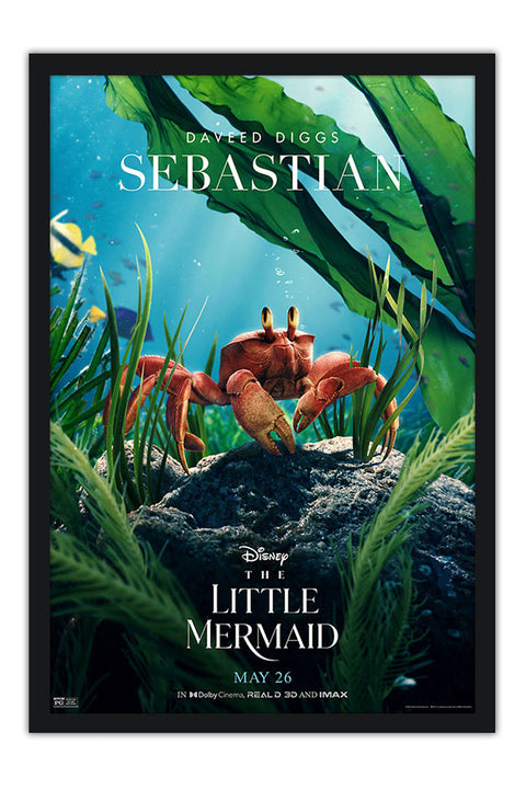 Poster Pequena Sereia - Little Mermaid - Disney - Filmes