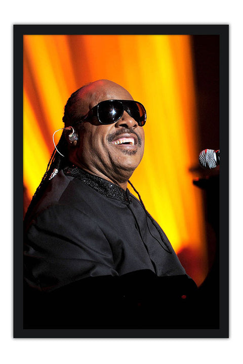 Poster Stevie Wonder - Artistas Pop
