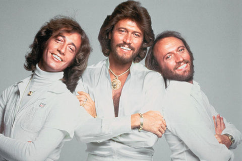 Poster Bee Gees - Disco - Artistas Pop