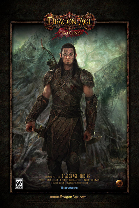 Poster Dragon Age Origins - Games