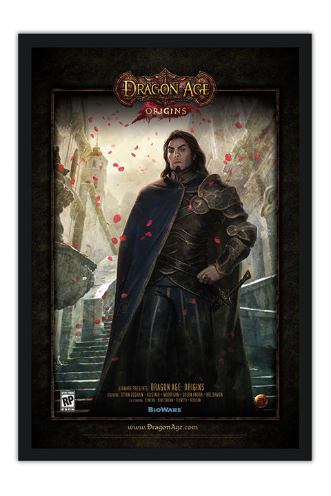Poster Dragon Age Origins - Games