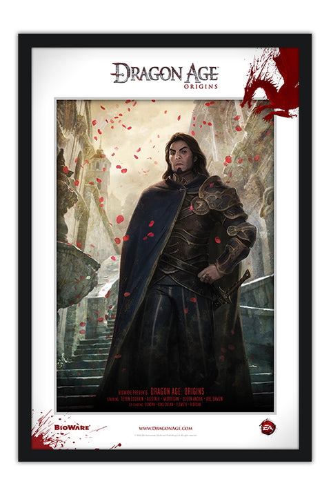 Poster Dragon Age Origins - Games