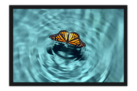 Poster Borboleta - Animais