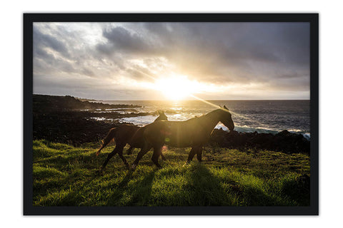 Poster Cavalo - Animais