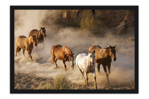 Poster Cavalo - Animais