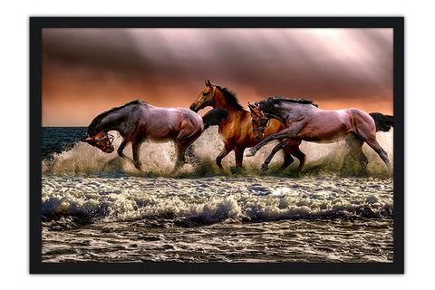Poster Cavalo - Animais