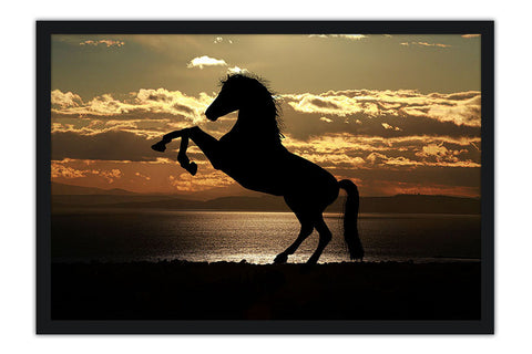 Poster Cavalo - Animais