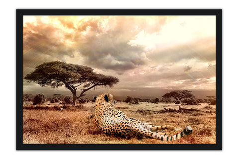Poster Onça - Animais